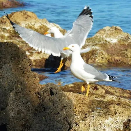 شقة Sissy 2 بوروس